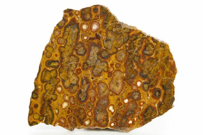 Polished Morgan Hill Poppy Jasper Slab - California #308165